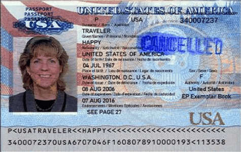 Government-Issued ID_1