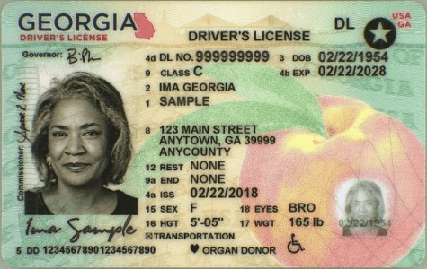 Government-Issued ID_2